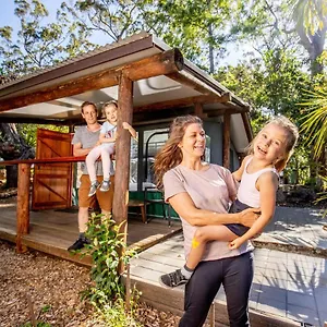 Binna Burra Rainforest Campsite Australia